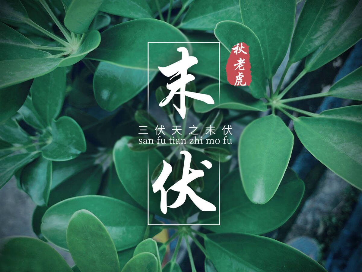 明日末伏，重在清補，6種食物要常吃，滋養潤燥，安度夏天身體好 熱愛美食 第1张