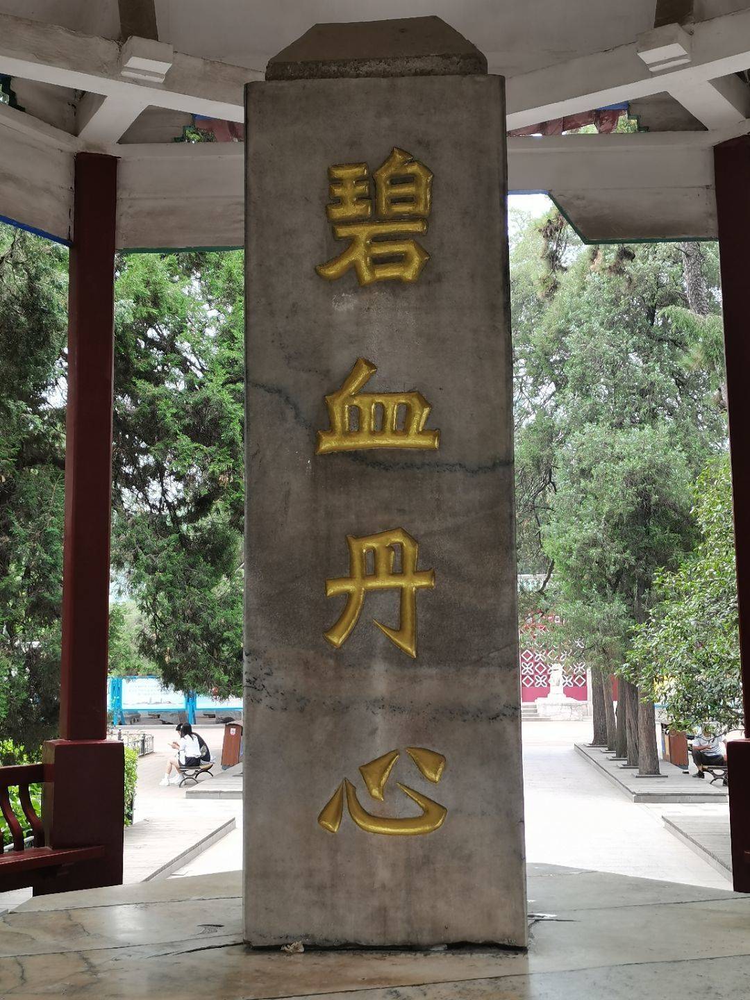 碧沙岗之行,党史学习之旅