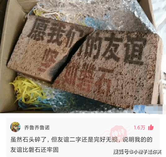 那些意想不到的大神評論，爆笑第一期。 搞笑整蠱 第3张