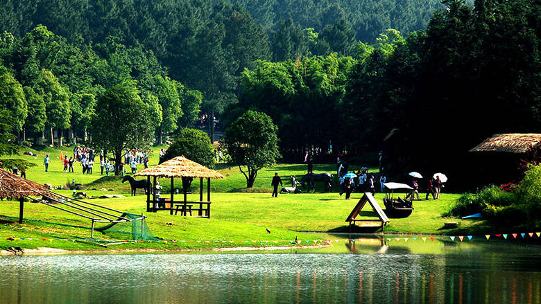 安吉丨深入江南隐秘小城,开启一场清新的"洗肺"之旅_景区