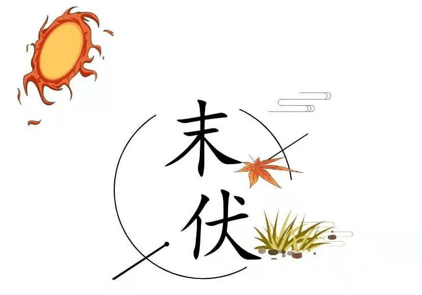 末伏话养生末伏艾灸重在化瘀