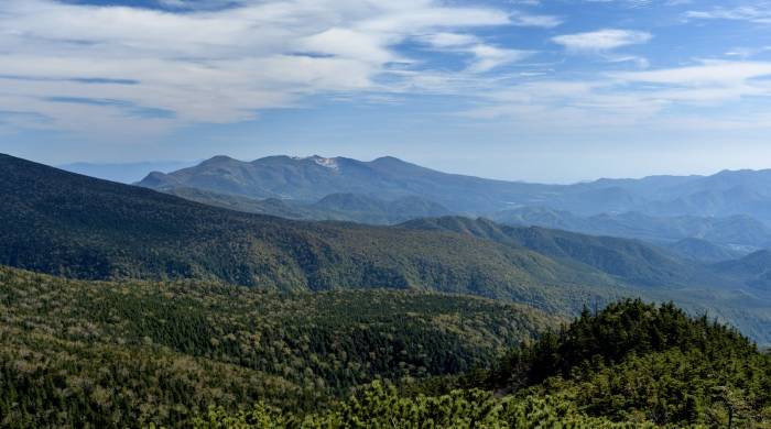 家电企业的品类多元化扩张，再度遭遇新的市场化危机-家电圈官网