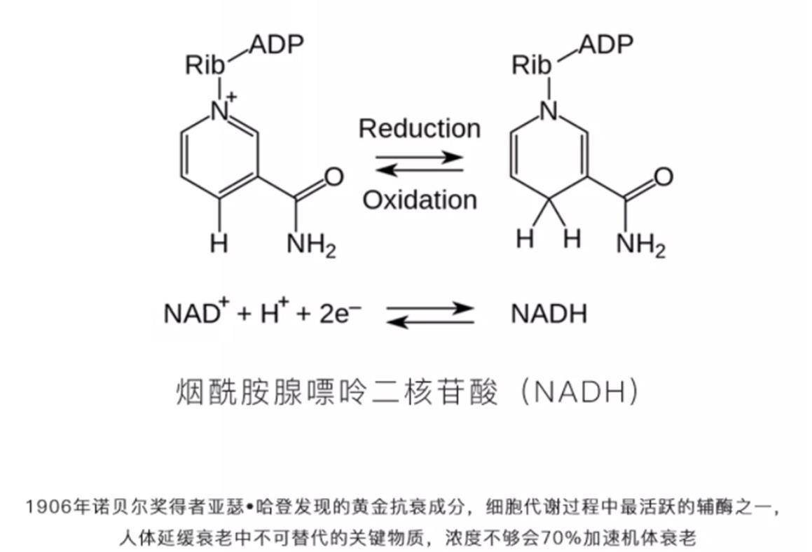 方法|显老的抬头纹，教你轻松改善，每天5分钟就够了！