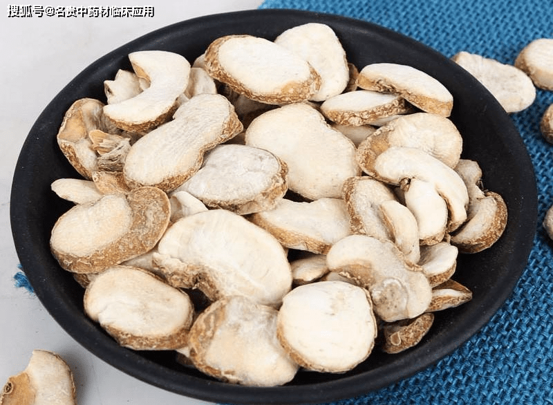 浙贝母(东贝母)的药用功效及药膳:贝母五味子炖猪肺