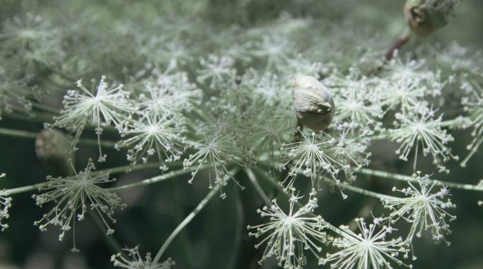 从终端的拦截到用户的拦截,家电厂商的营销核心密码该变了！-家电圈官网