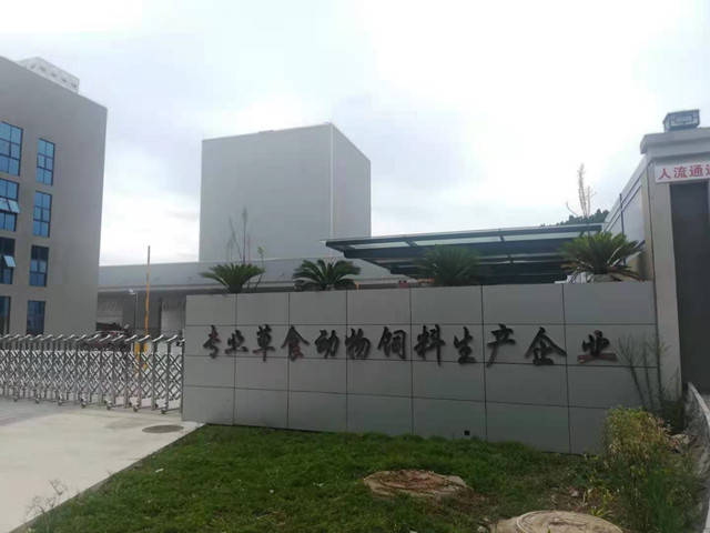 牛羊|茂縣冉莽農業科技公司： 結親晶英農牧 助力牧區牛羊越冬渡春