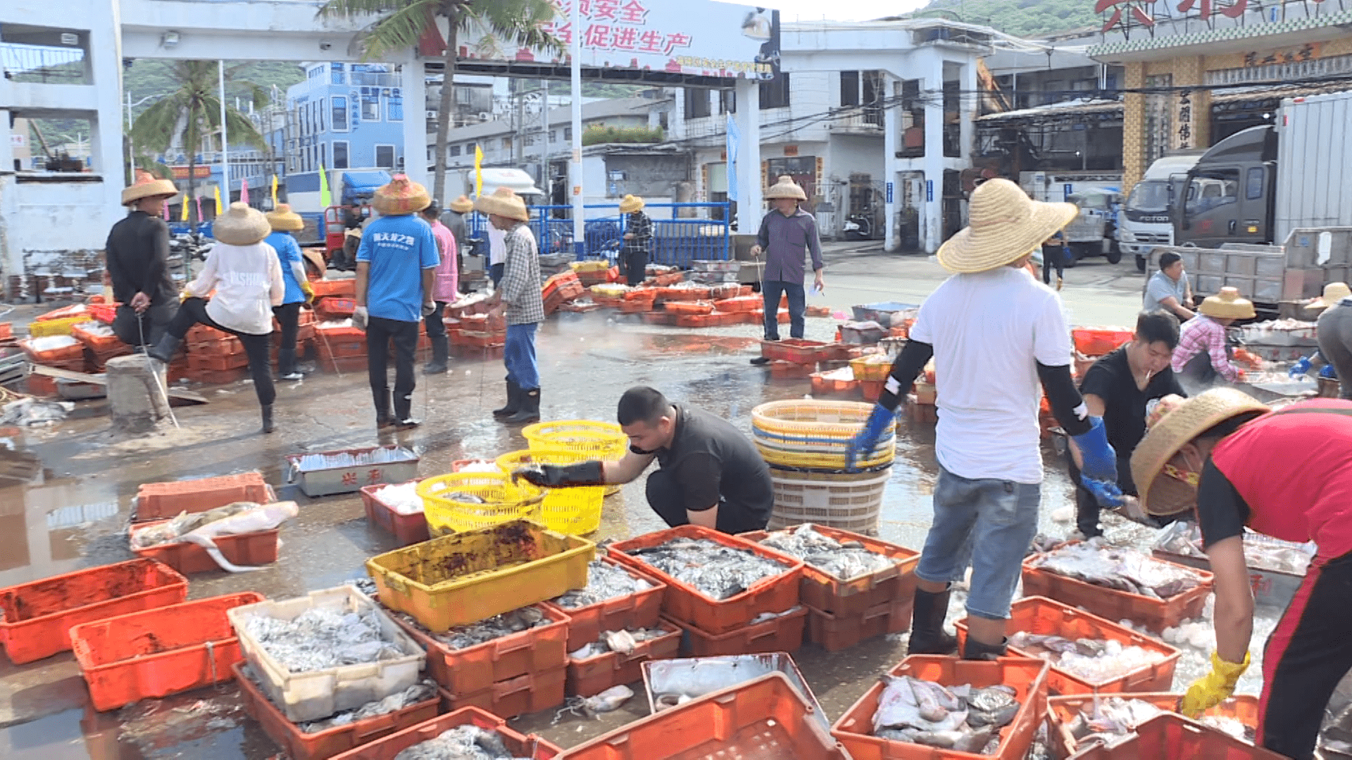 旅顺柏岚子渔船卖鱼图片