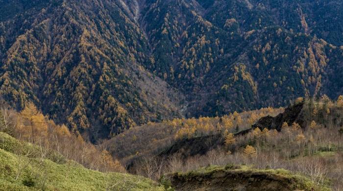 量跌额涨的家电产业新周期,厂商经营策略应该这么变!-家电圈官网