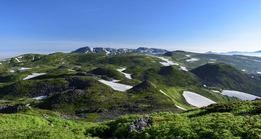 家电业出口承压，美的海尔长虹TCL京东苏宁百度迎战市场-家电圈官网