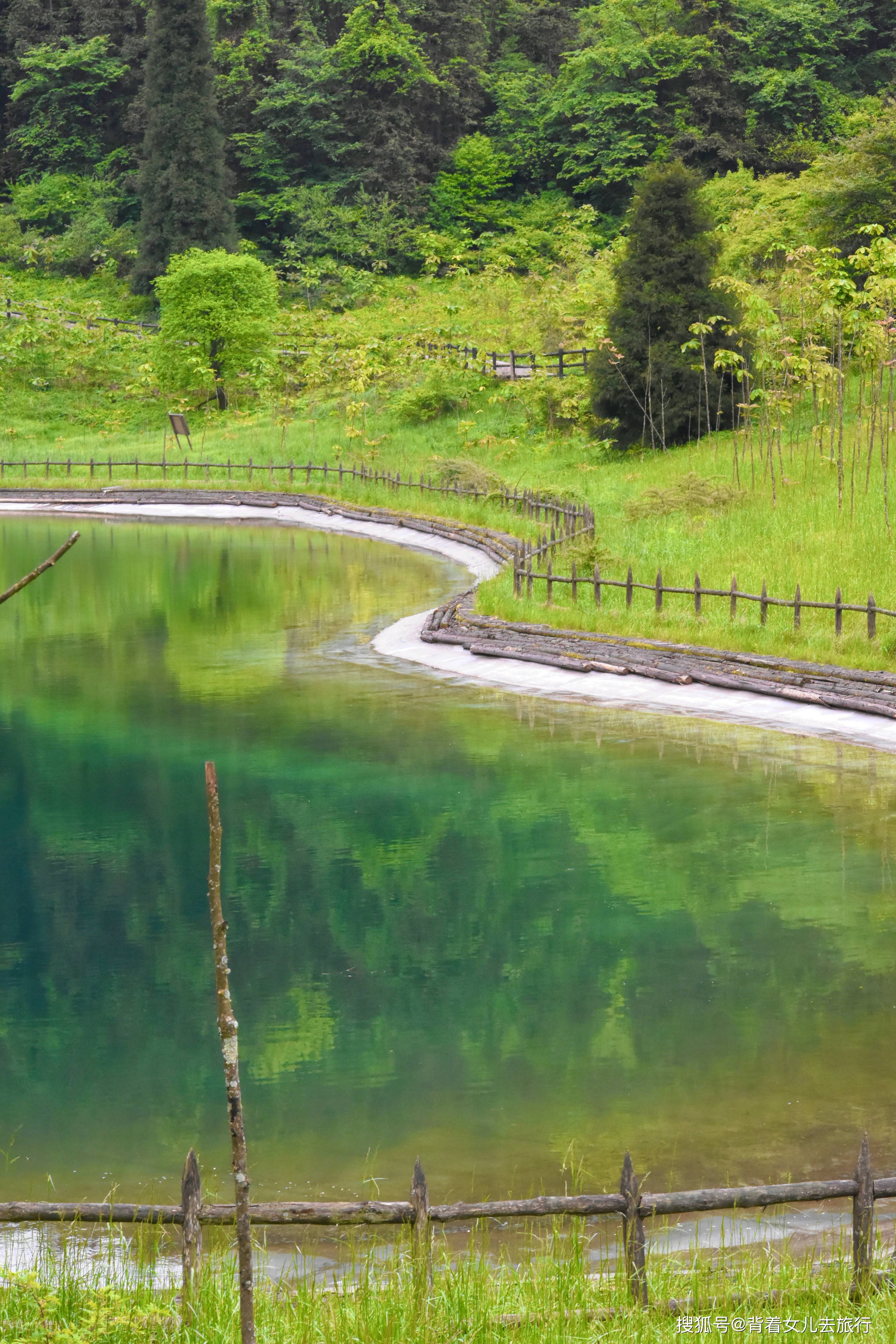 鲜花|打卡重庆小众旅行地，人少景美不排队，女生拍照绝绝子