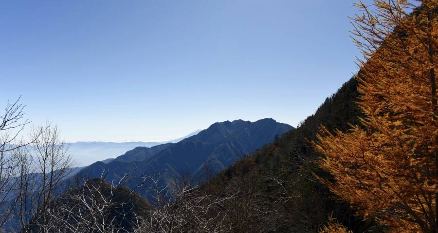 失去消费者才是家电业最大的危机-家电圈官网