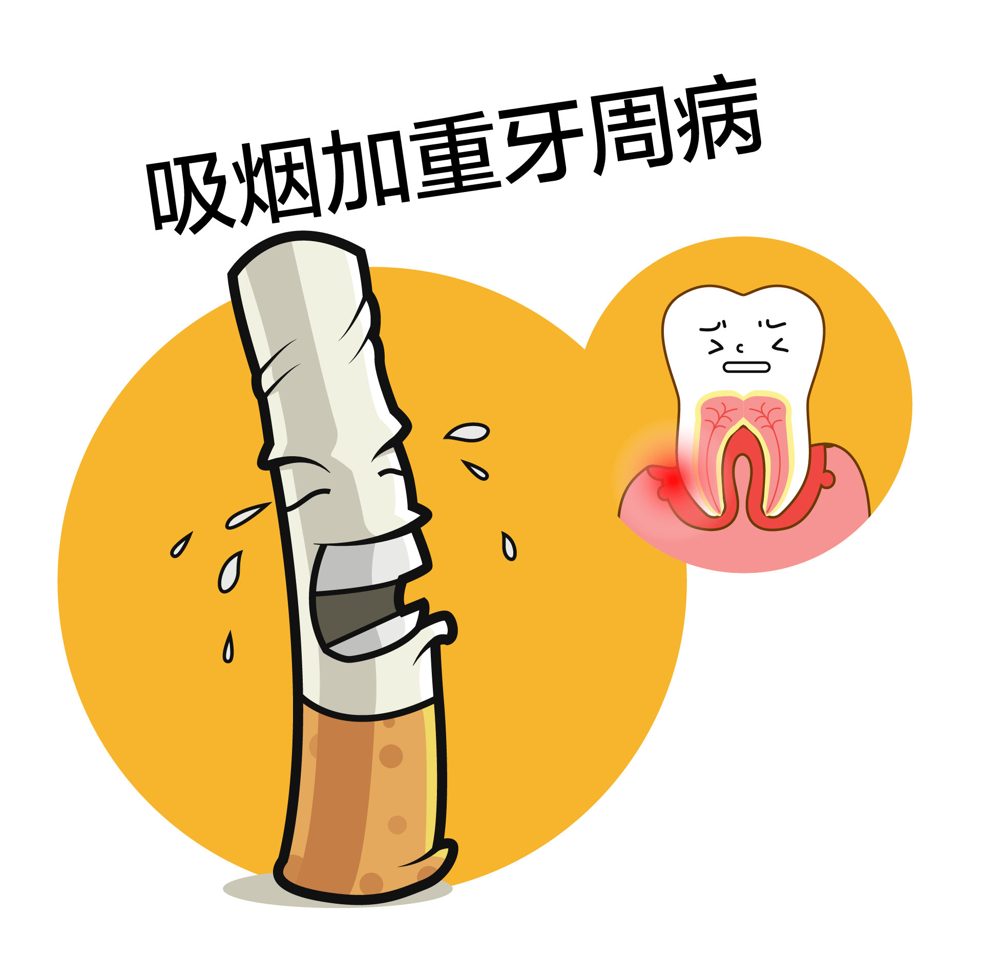 如果您占了其中之一,那要小心牙周病了!_牙齿