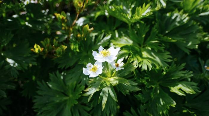 一线市场又将暴涨急跌?这早就不是家电困局的“命门”-家电圈官网