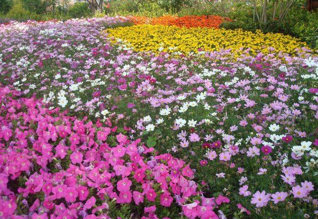 鸿博平台 8月27日 31日