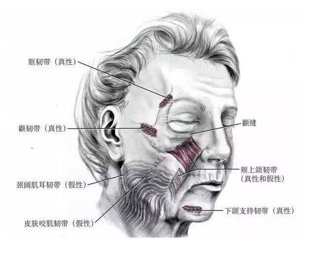 方法面部提升哪种方法维持时间长？提升修复专家李方奇谈小切口提升