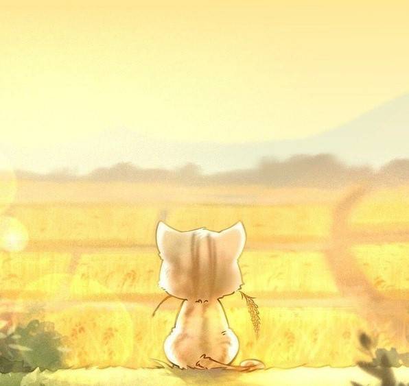 原创新的稻田守望者袁老离世后袁花花每天都会到稻田走一走