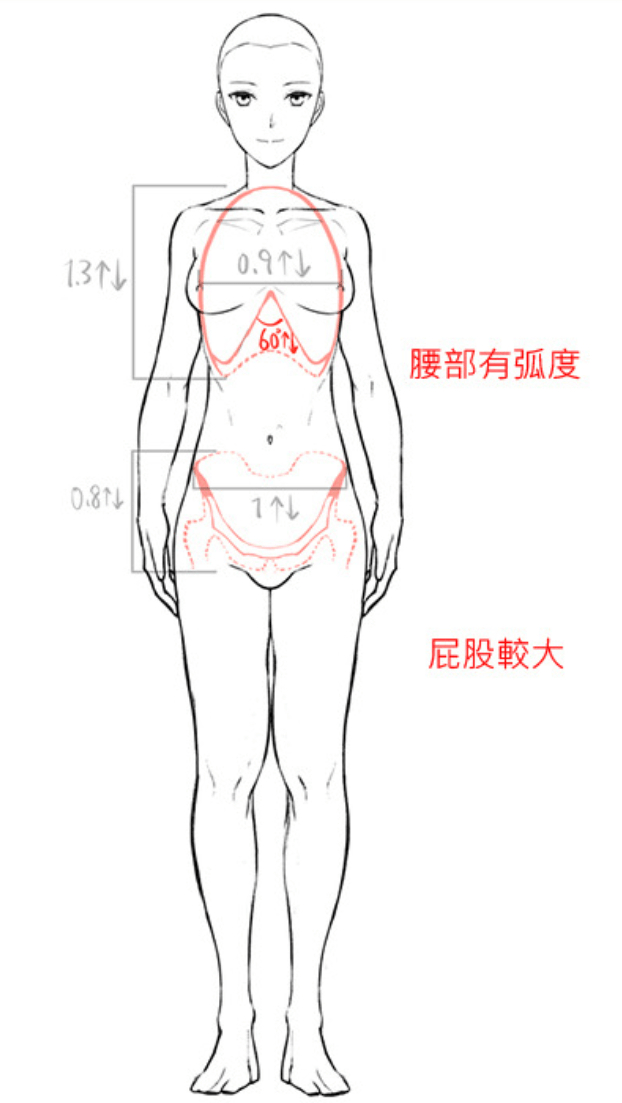 怎么画动漫人物的身体 动漫人物身体结构大概怎么画 肋骨