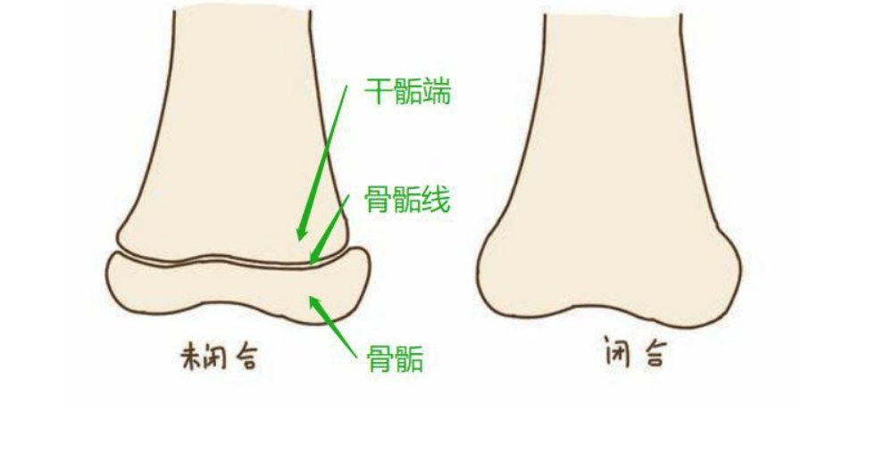 剂量|2021开学季，不要让身高窃取了您孩子的自信心