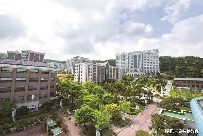 韩国白石大学