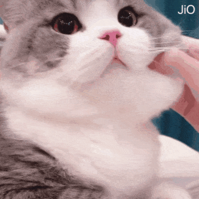 1cdcd88f09224351b23df52bb57a3ca7.gif