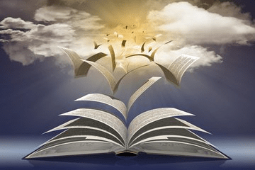 6300078f019d479393bafa098a388e28.png