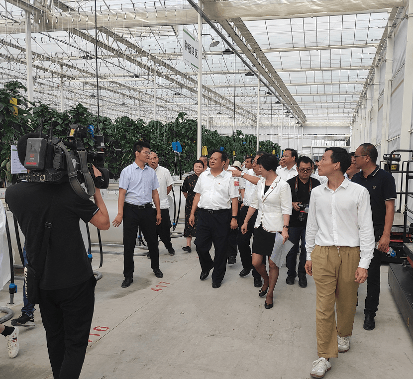 嘉兴市委书记张兵一行检查湘家荡农业数字化工厂第四个中国农民丰收节