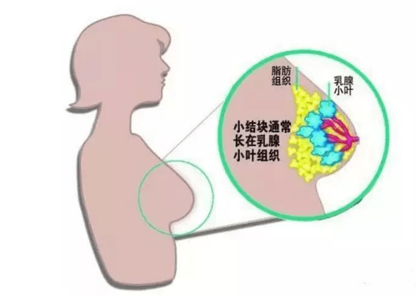 45823ec572d245d7a9c6fc958059562e.png