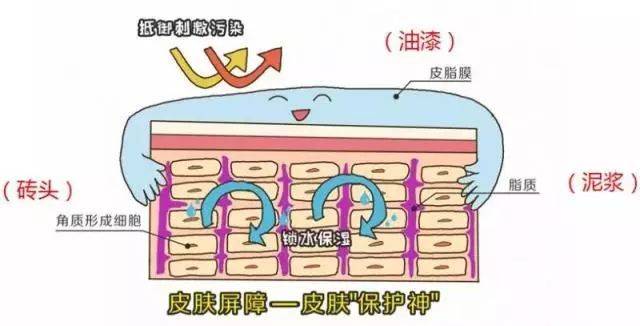 产品脸部过敏发红发痒紧绷……皮肤屏障受损怎么救？