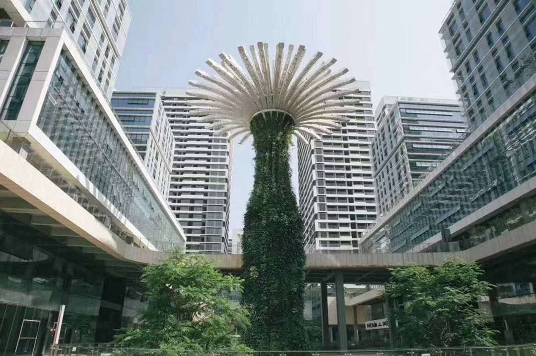 深圳湾科技生态园10A栋图片