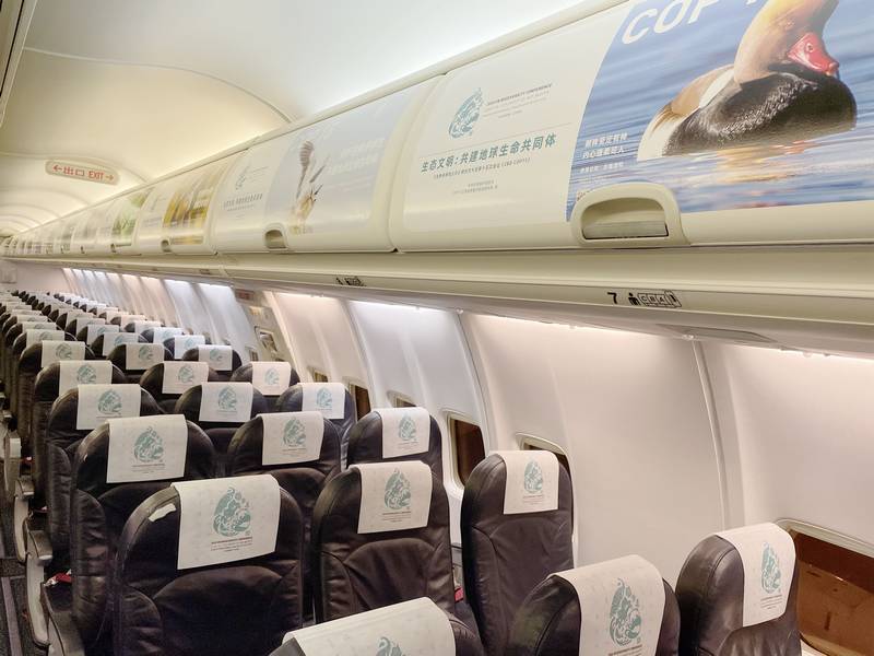 瑞丽航空cbdcop15主题客舱飞机在昆明启航
