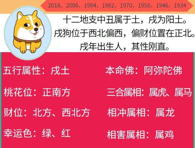 生肖狗 2020年运势变化大