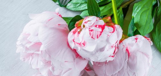 10月运势一路上涨 事业功成名就 升迁加薪中大奖 不愁没钱花 双子座