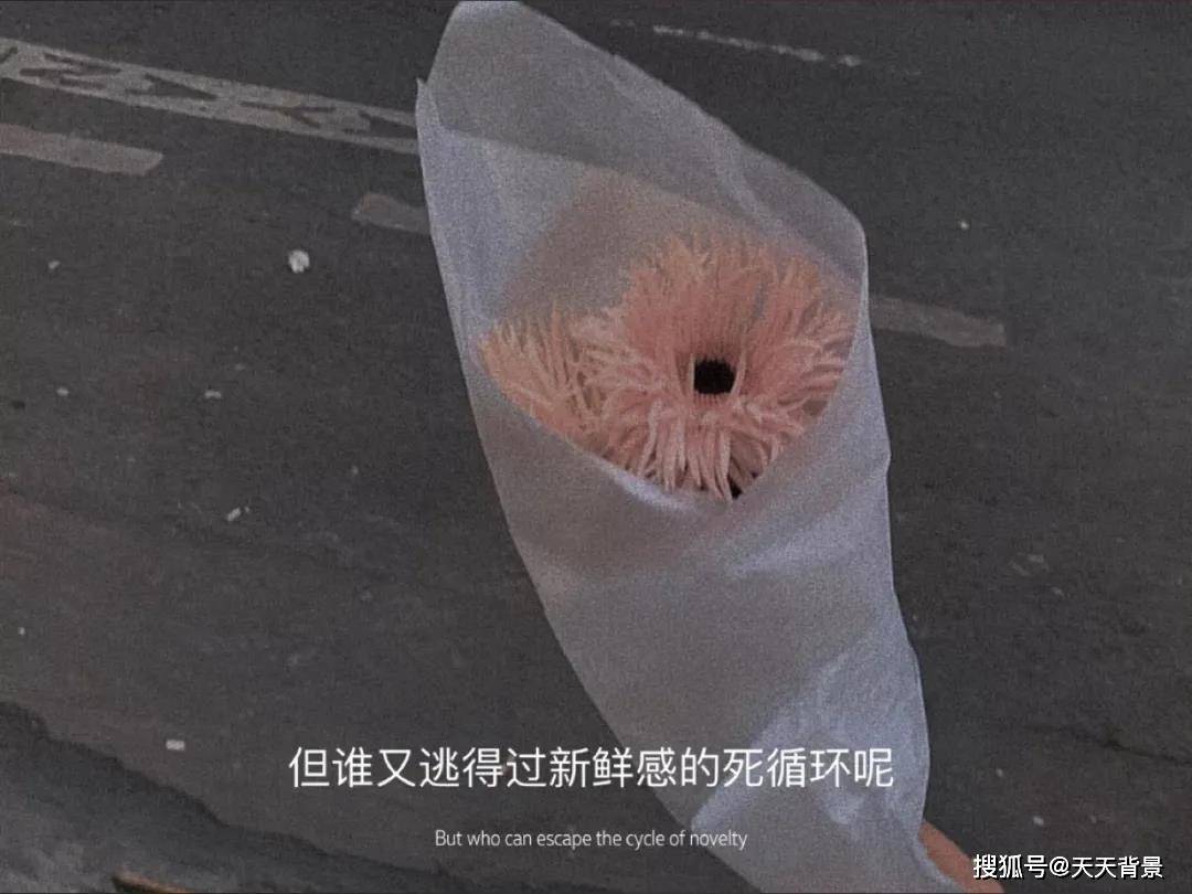 但谁又逃得过新鲜感的死循环呢图片背景图分享