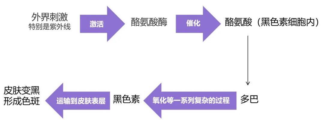 祛痘科普篇——斑是怎么来的？萃肌堂祛斑祛痘、聚致汇美祛斑祛痘