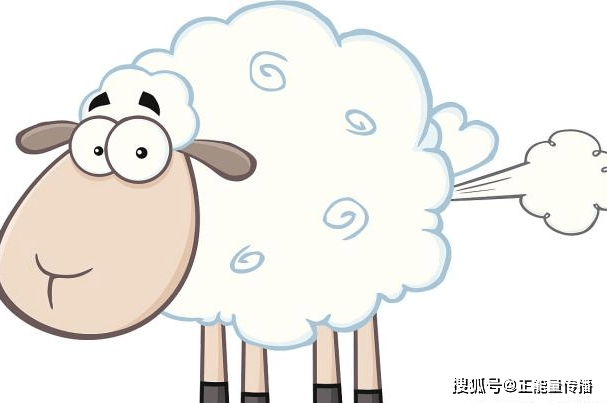 什么|“响屁不臭，臭屁不响”，有什么科学依据？起来了解下