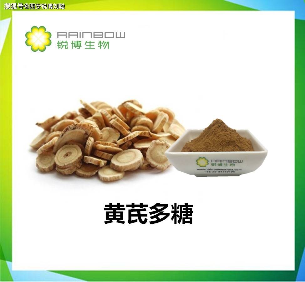 补气名药黄芪多糖黄芪甲苷