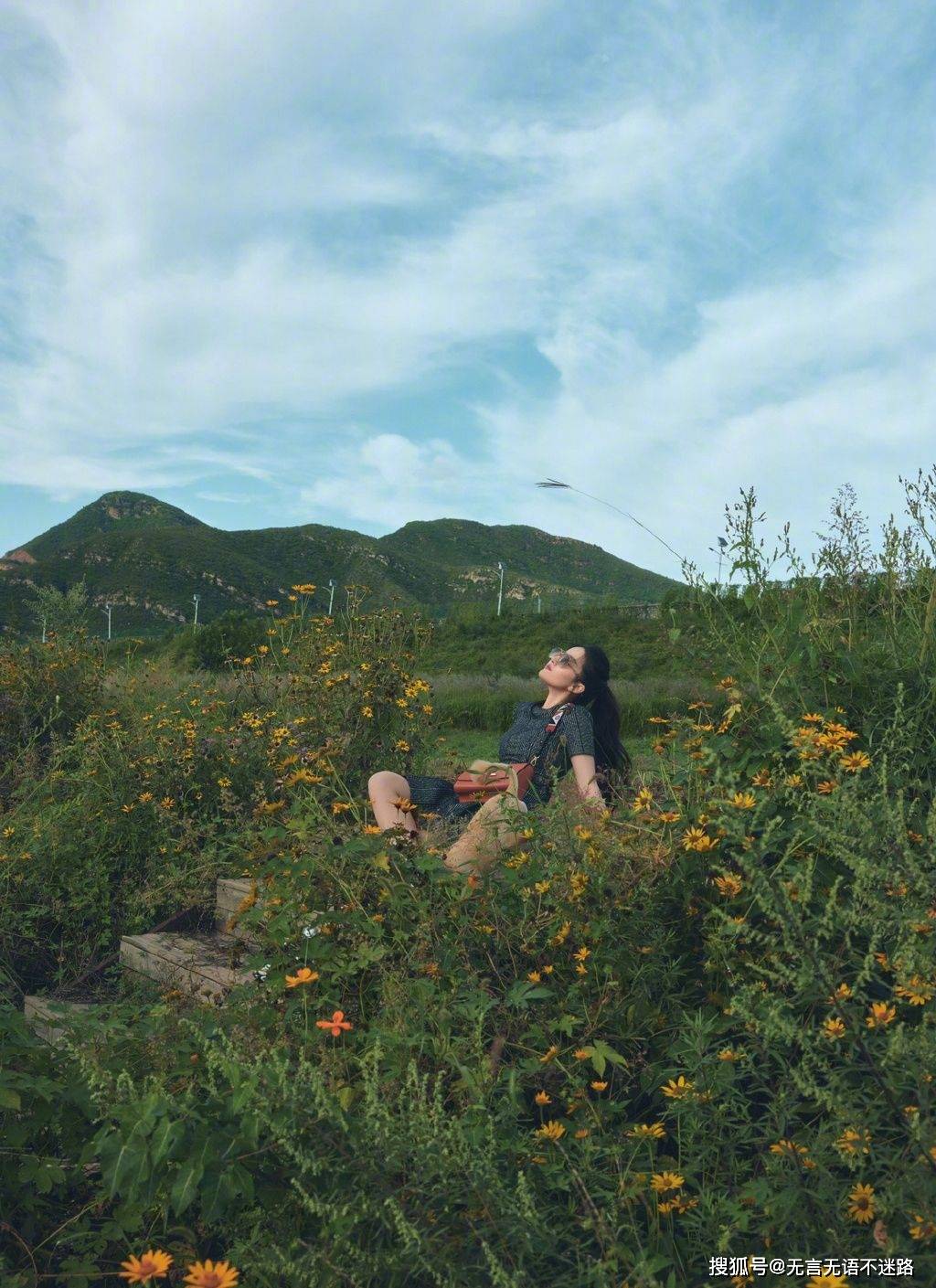 刘亦菲携可爱狗狗,享受秋日户外风景