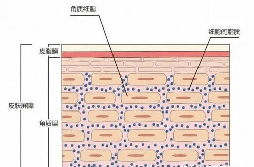 护肤用品精简护肤？到底该如何精简呢？