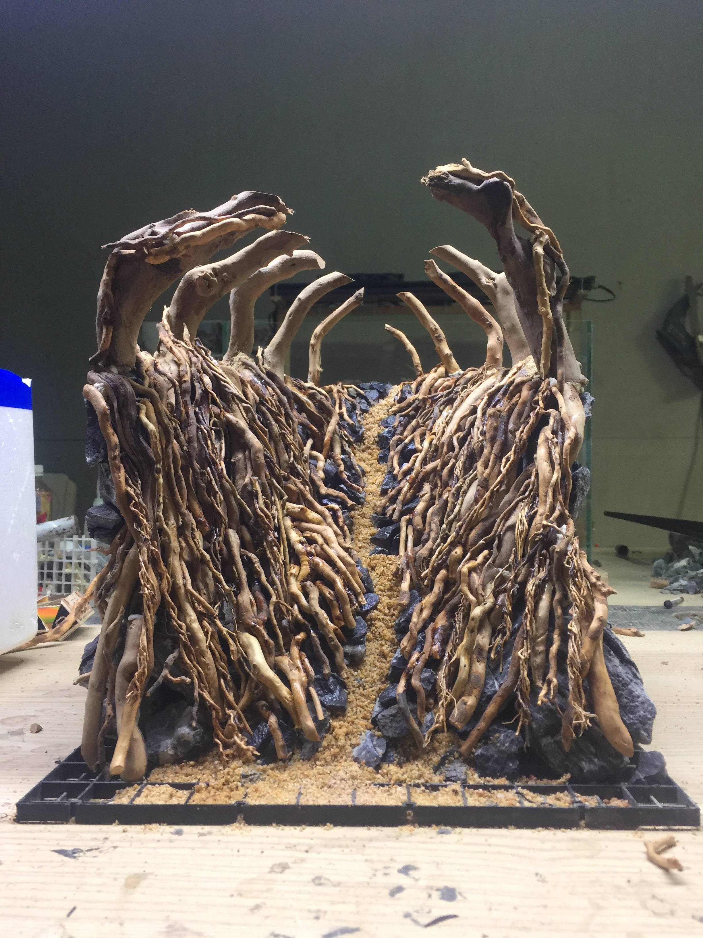 做草缸造景骨架三年第一次做三零缸的纯印尼赛级型的草缸造景骨架