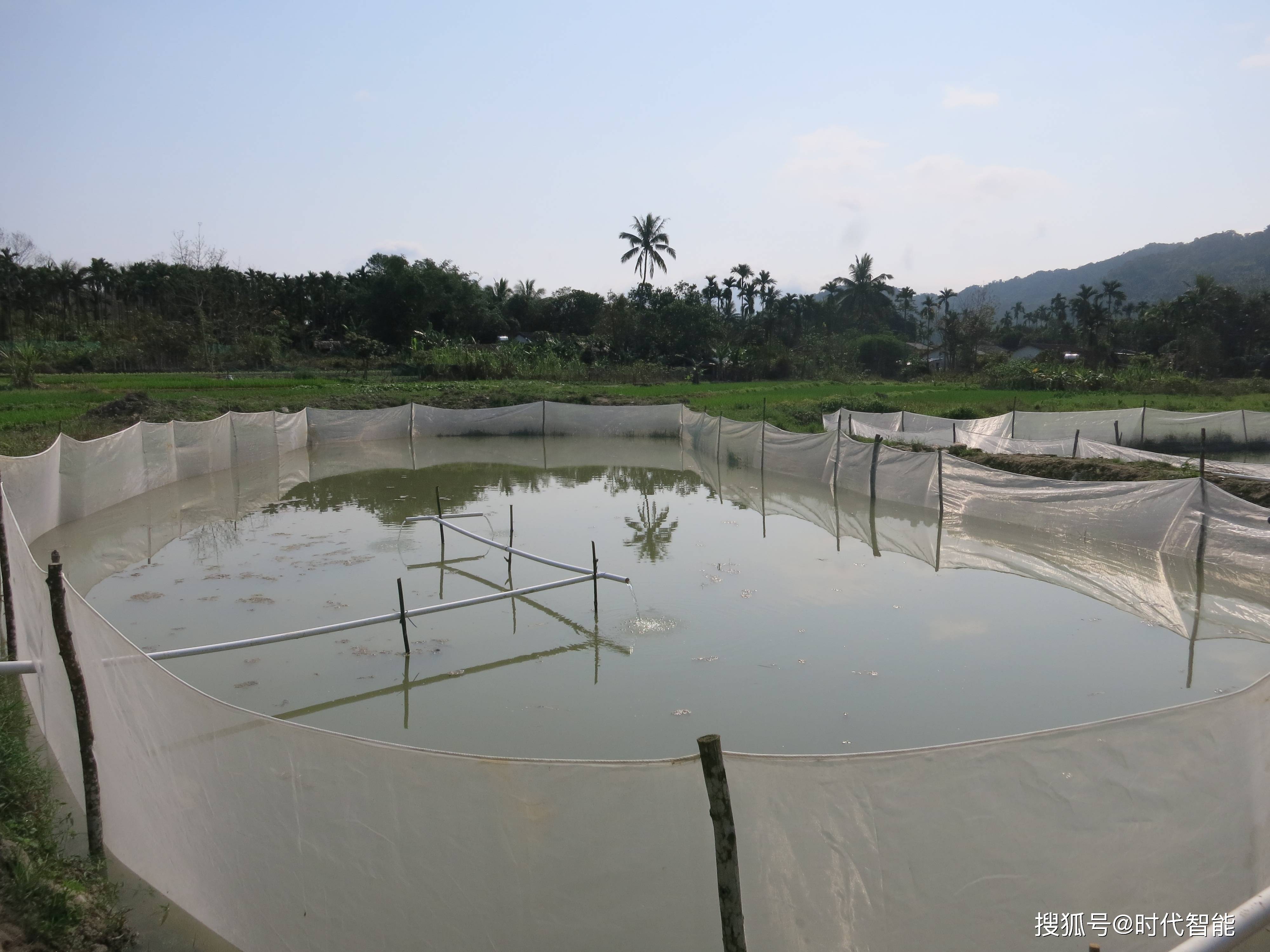 怎么养殖泥鳅黄骨鱼;湖北佳农晖农业科技有限公司告诉你