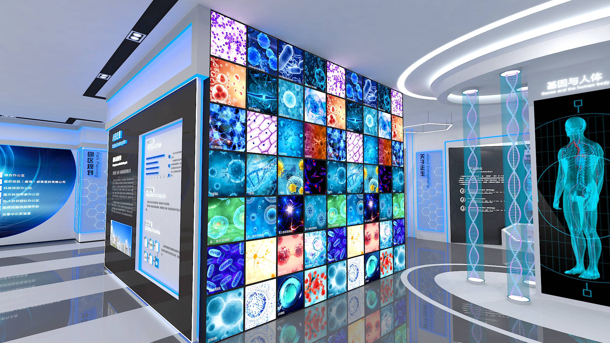 威海正生生物展厅设计-中岙文化