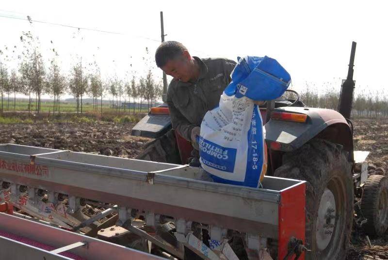 山东即墨:金秋时节农民抢抓农时播种小麦