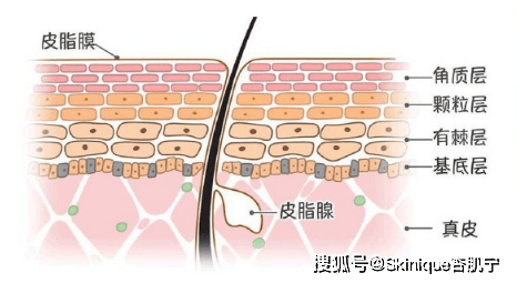 什么过度清洁=慢性毁容，如何正确洗脸？