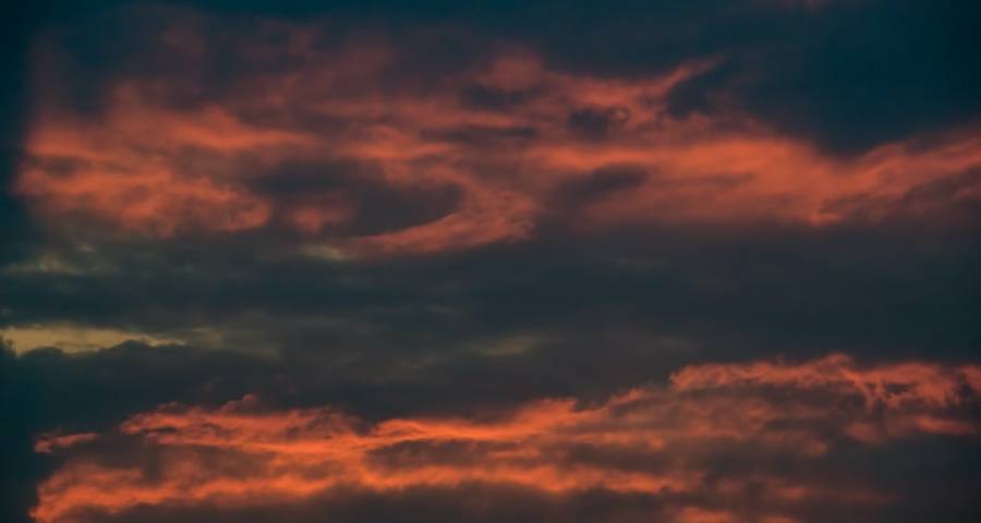 这些年众多小家电在市场上，为何总是昙花一现？-家电圈官网