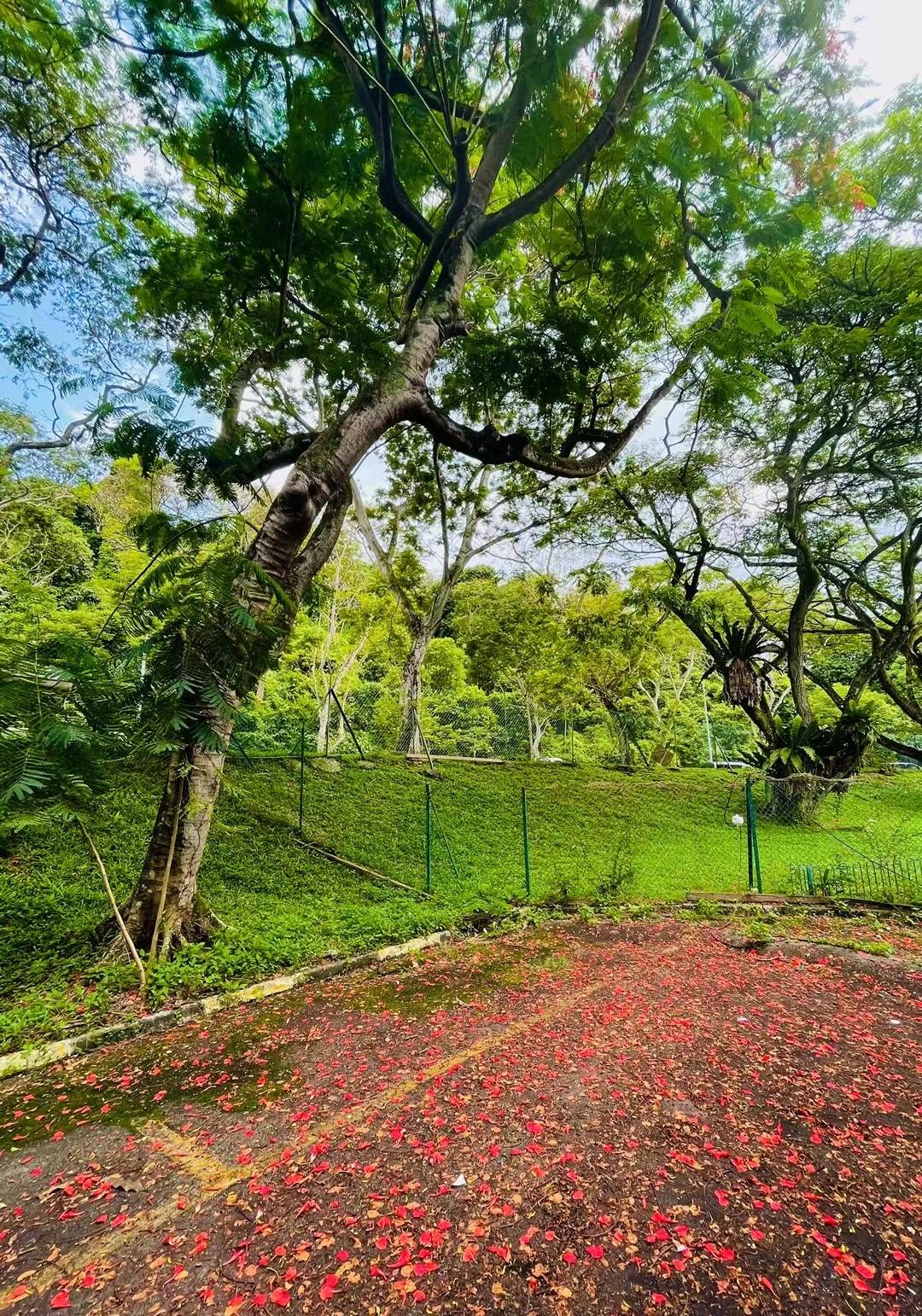 亞歐大陸最南端的高校——新加坡莎頓國際學院