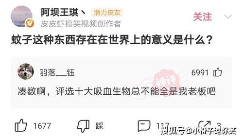 爆笑第14期：那些意想不到的大神評論. 搞笑整蠱 第6张