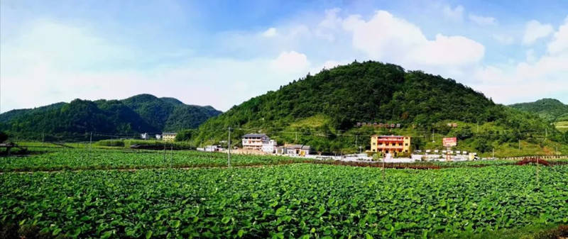 贵州新增8个中国美丽休闲乡村_河村