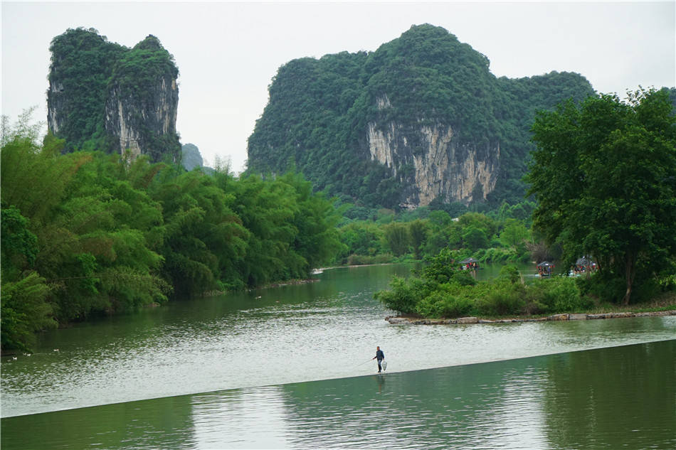 漓江|广西：阳朔，十里画廊，遇龙河两岸的“玉碧罗青”