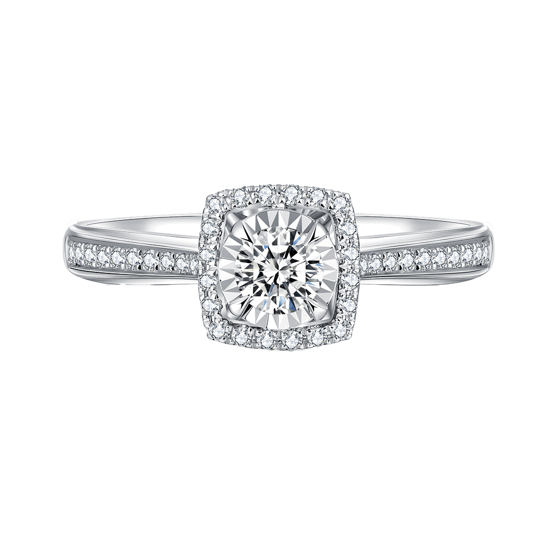 刘培钰|你可以永远相信爱情