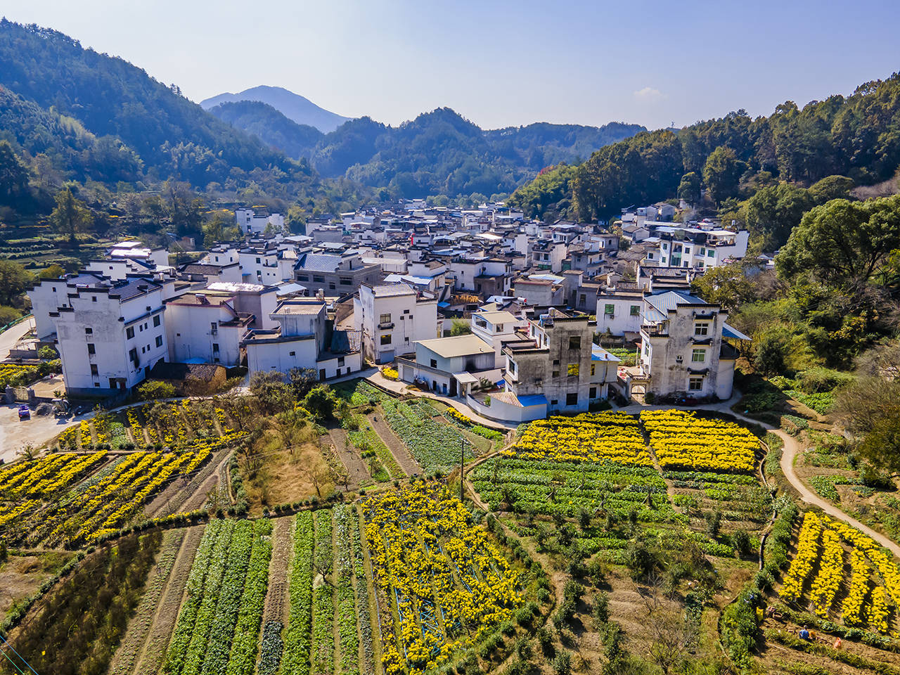 上丰乡|黄山小众旅行地：秋禧歙县，姬公尖赏别样晒秋